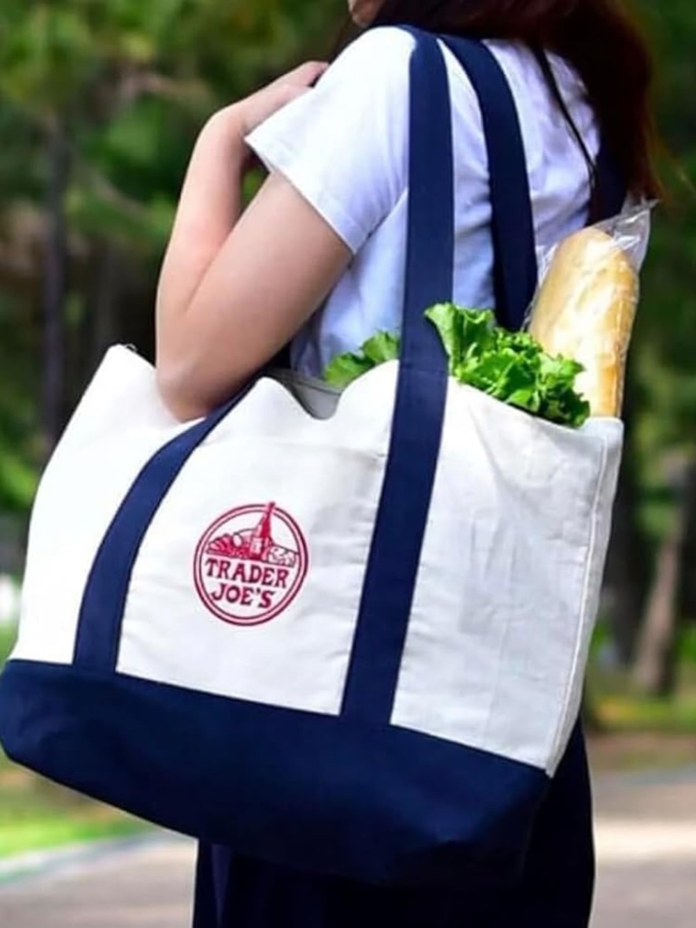 Trader Joe’s Canvas Tote Bags Set of 2 Natural Navy NWT